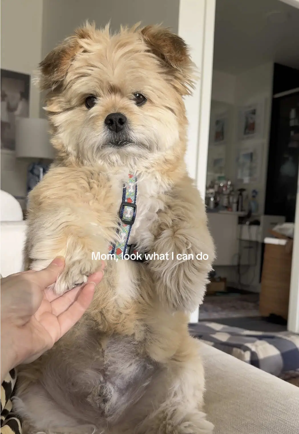 Tiktok post thumbnail