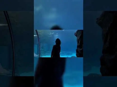 Youtube post preview 1 from UC0z4nMsv5FszZ2k47ji8RuQ