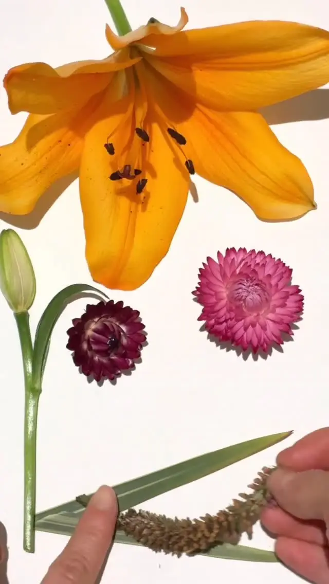 Instagram post thumbnail