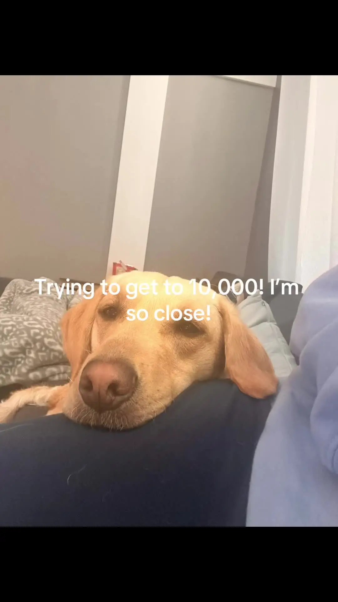 Tiktok post thumbnail