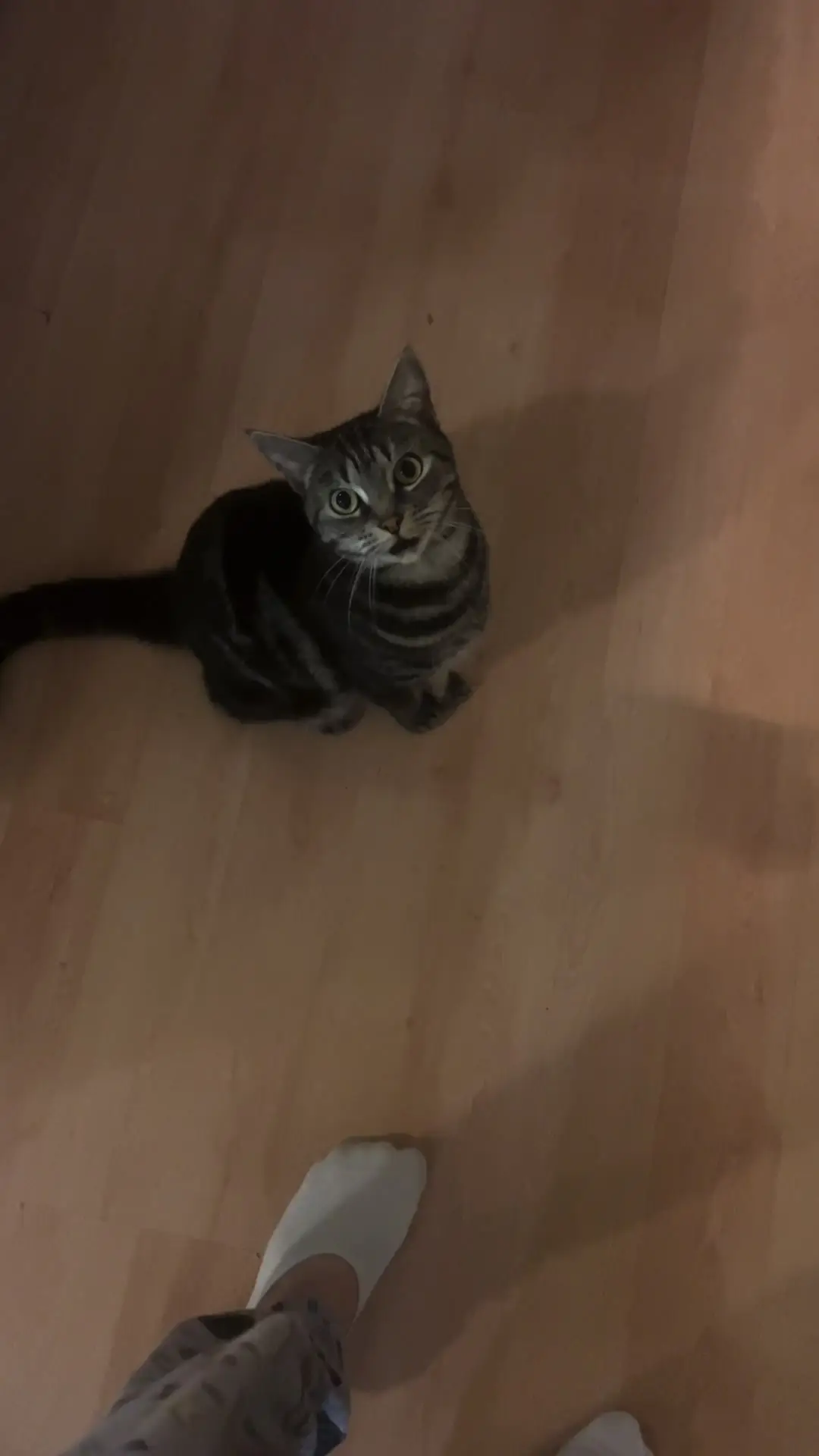 Tiktok post thumbnail