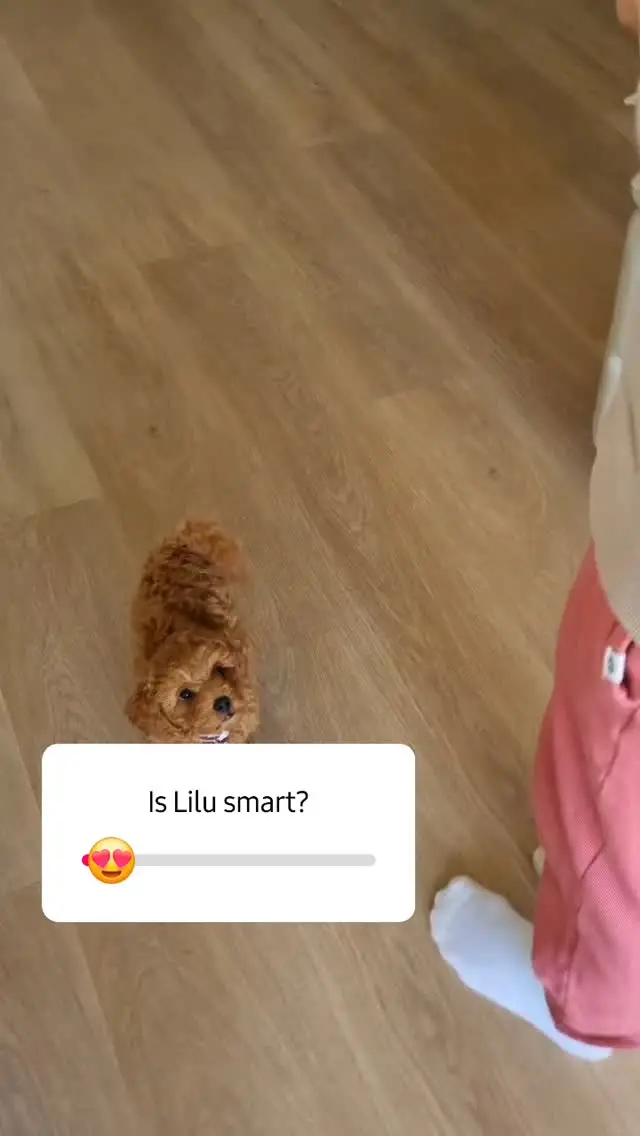 Instagram post thumbnail