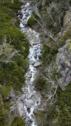 Instagram post thumbnail