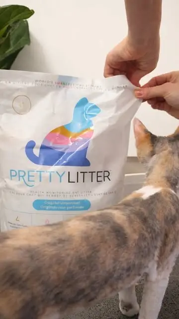 Instagram post preview 3 from pishtoiugc