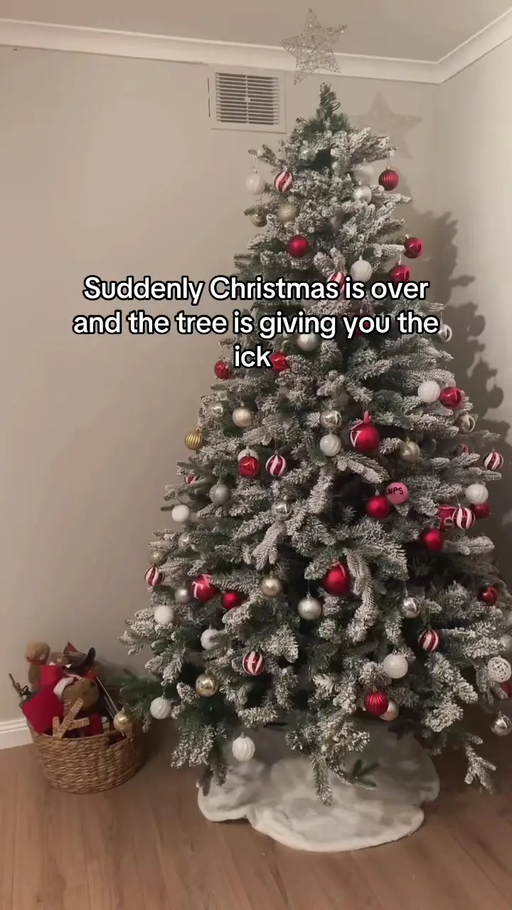 Tiktok post preview 2 from @_lulugrey