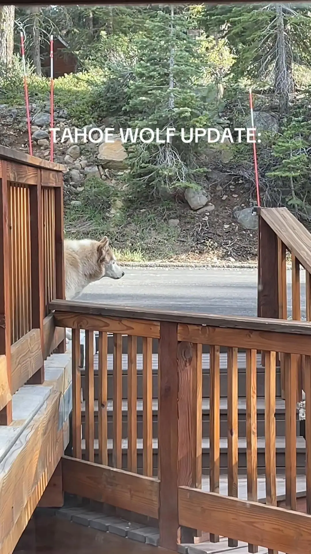 Tiktok post preview 1 from @tiktokmarg