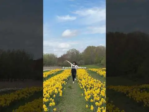 Youtube post preview 3 from UCrC5_QEL_JZGw13L8TyVbdA