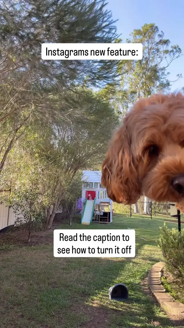 Instagram post thumbnail