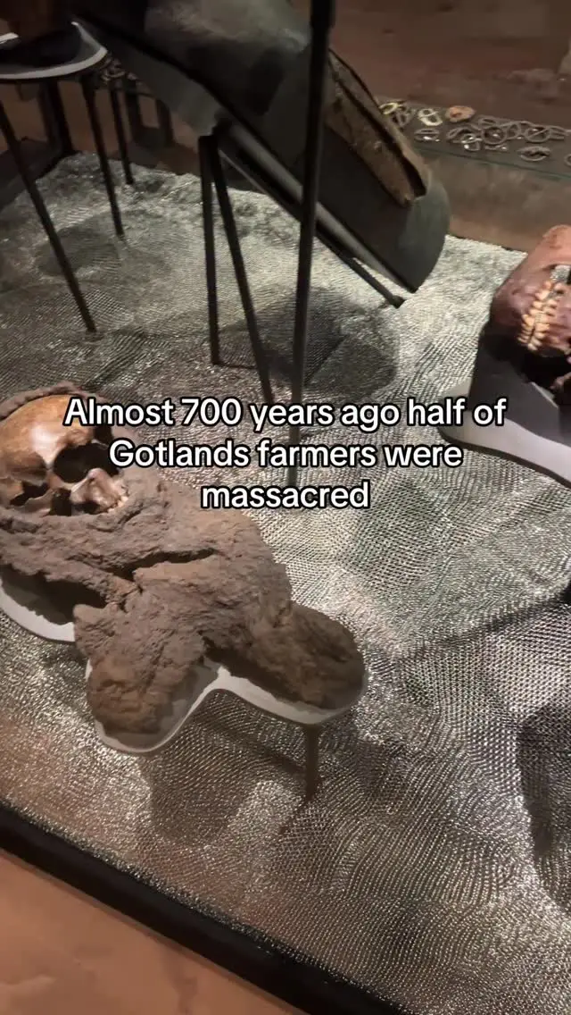 Instagram post preview 1 from stephthearchaeologist