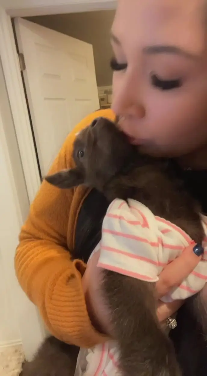 Tiktok post thumbnail