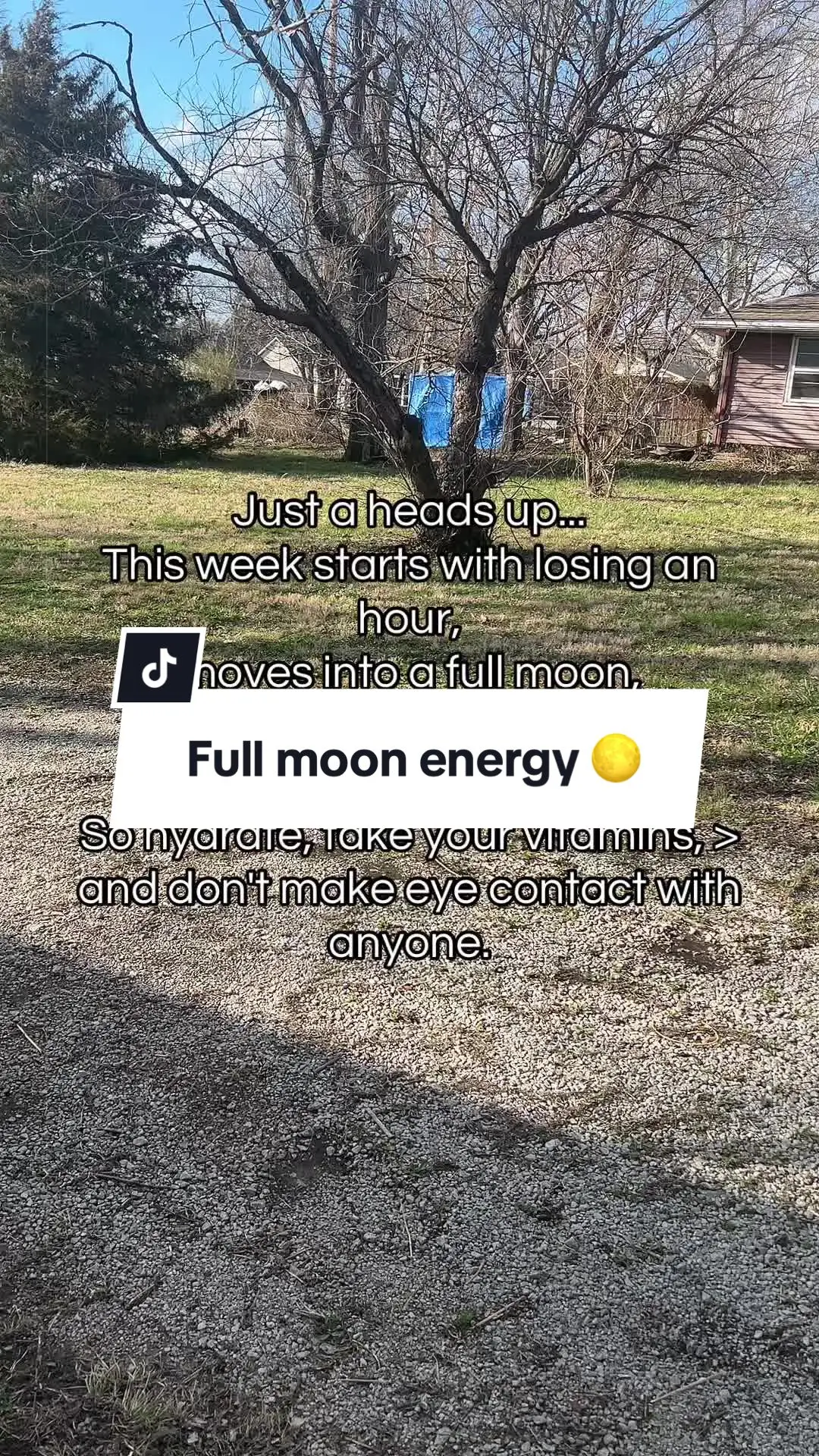 Tiktok post thumbnail