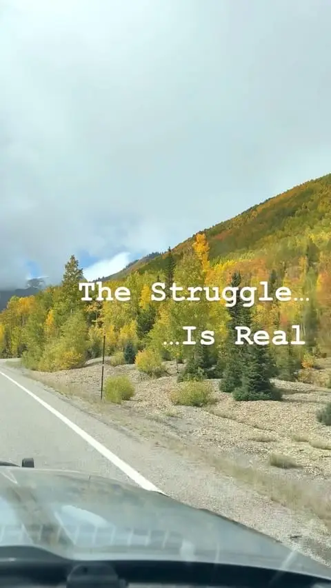 Instagram post thumbnail