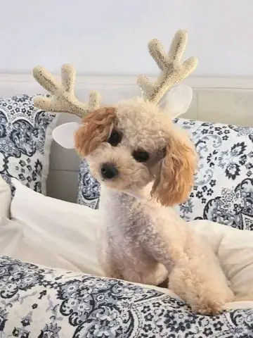 Instagram post thumbnail