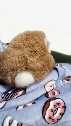 Instagram post thumbnail