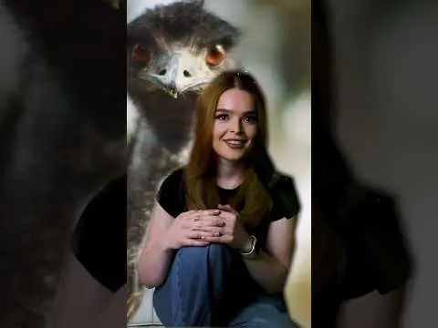Youtube post preview 2 from UCLm-Is_zwpk0hrz_OOKaHOQ