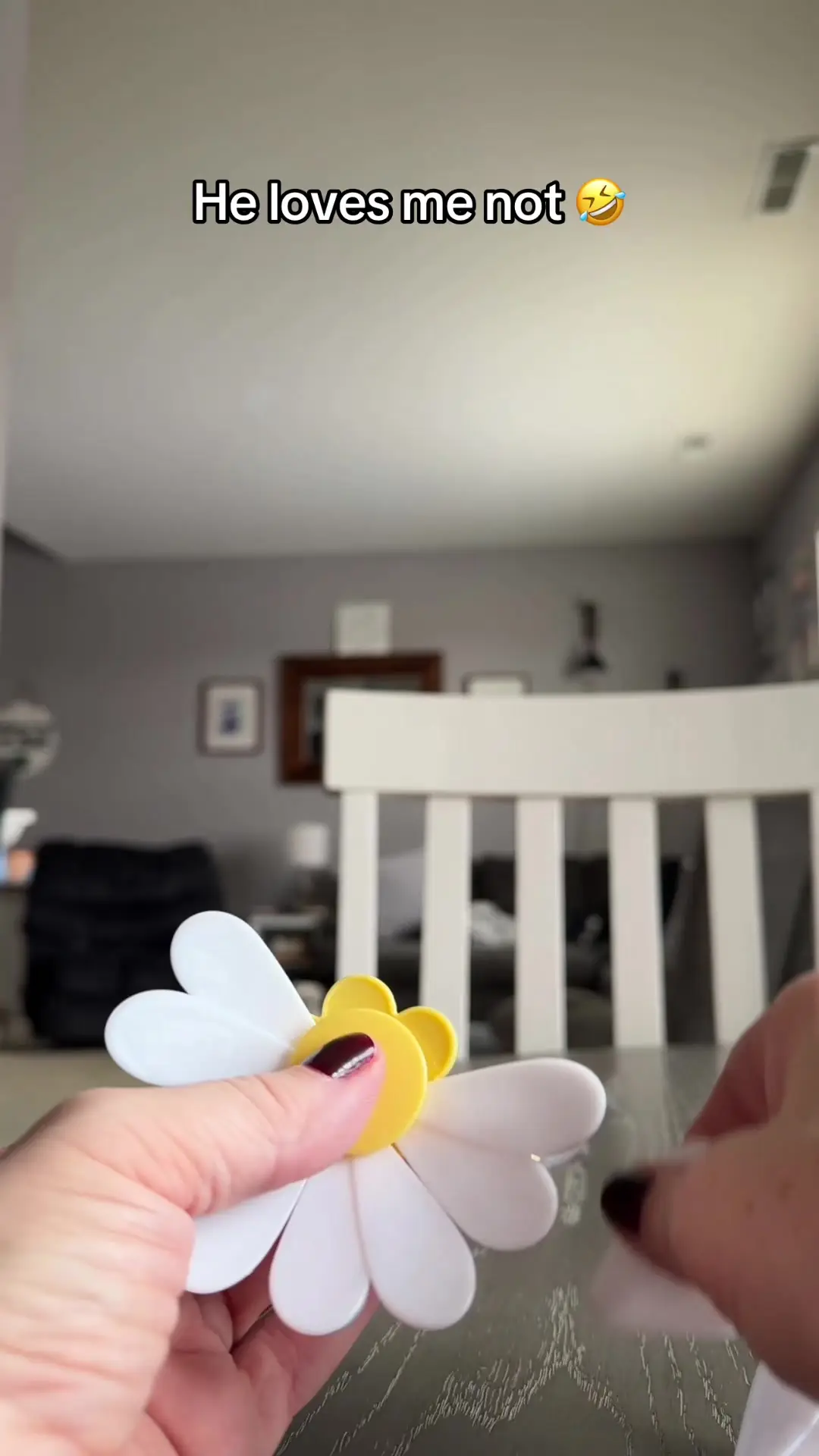 Tiktok post preview 1 from @galeher.home