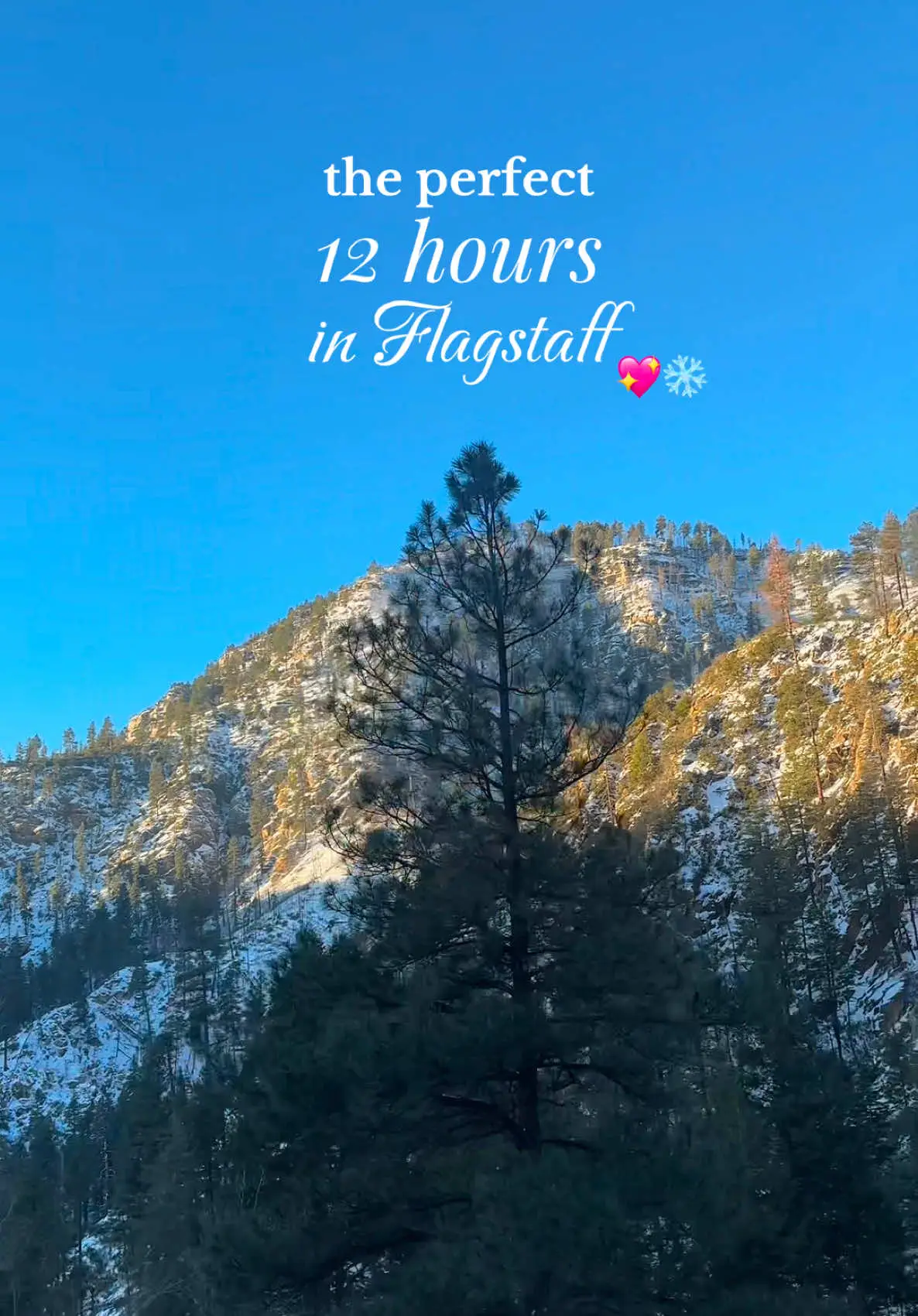 Tiktok post preview 2 from @southwesternsummer
