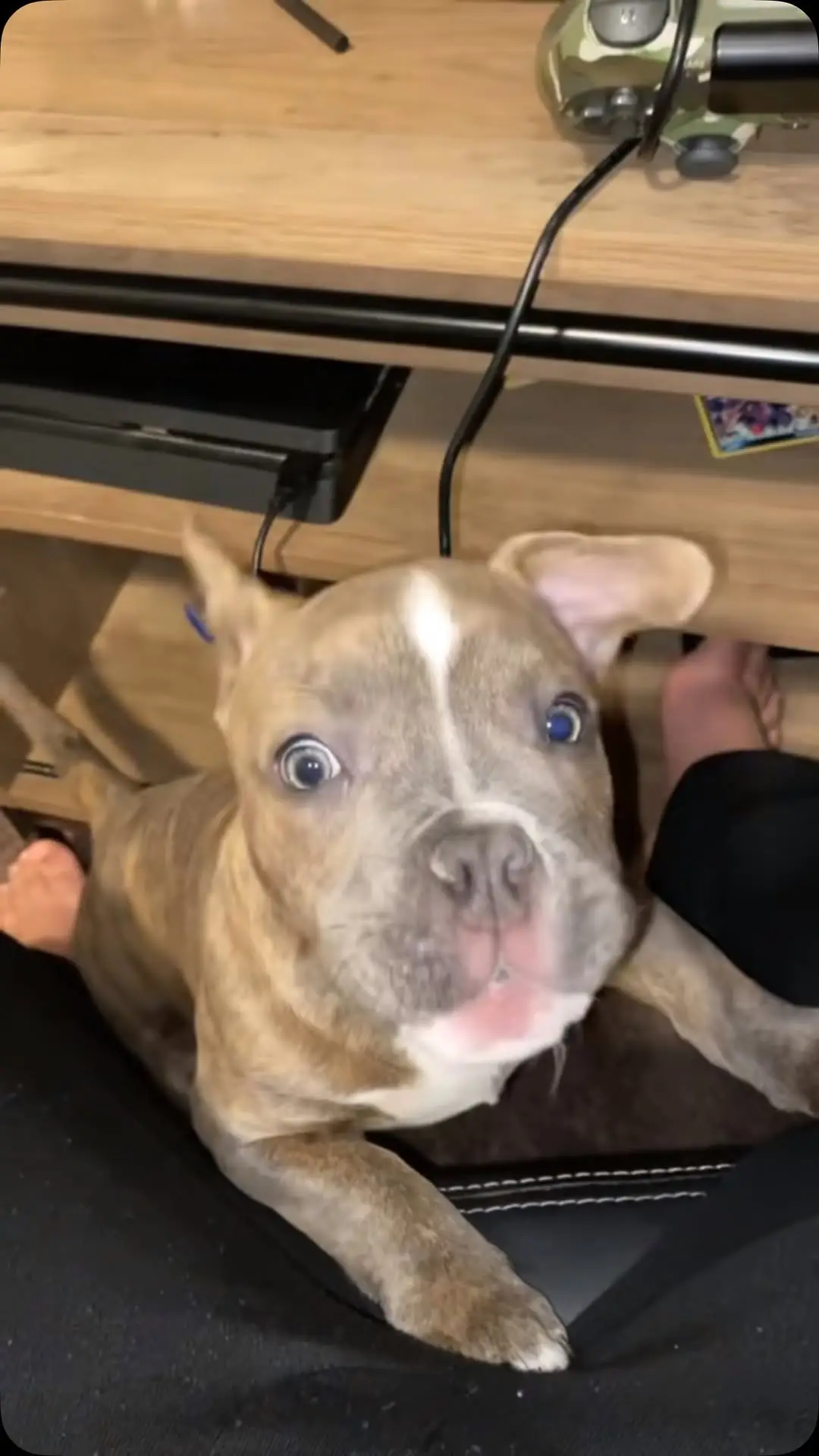 Instagram post thumbnail