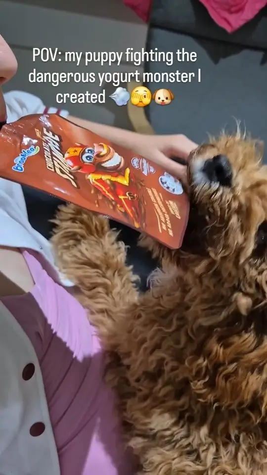 Instagram post thumbnail