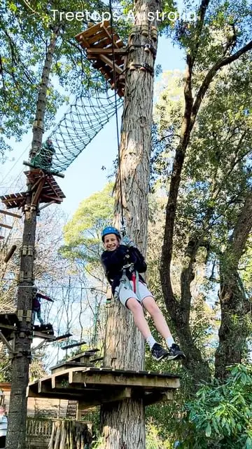 Instagram post thumbnail