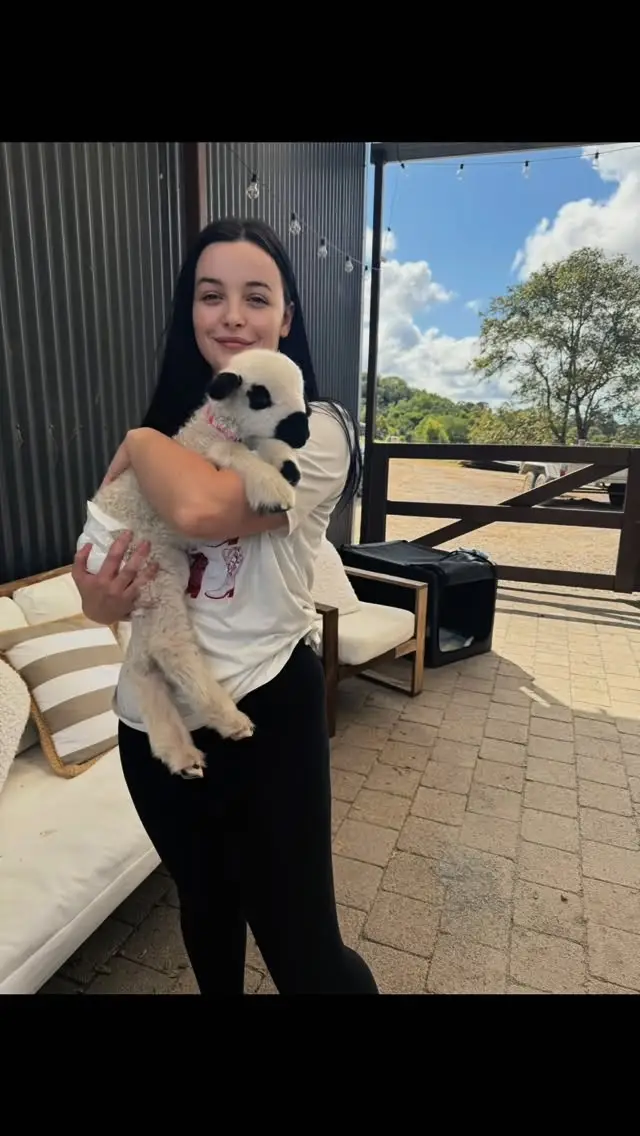 Instagram post thumbnail