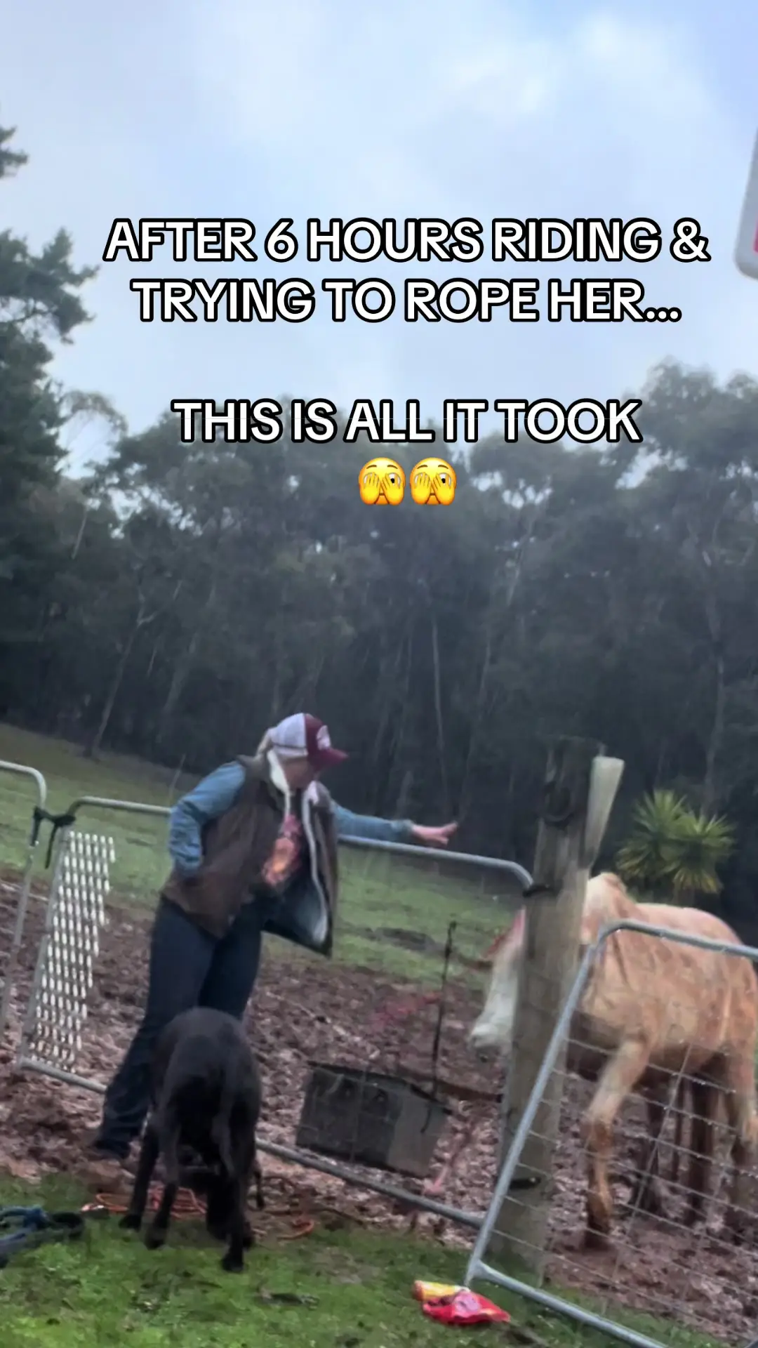 Tiktok post preview 2 from @amber.cooper14