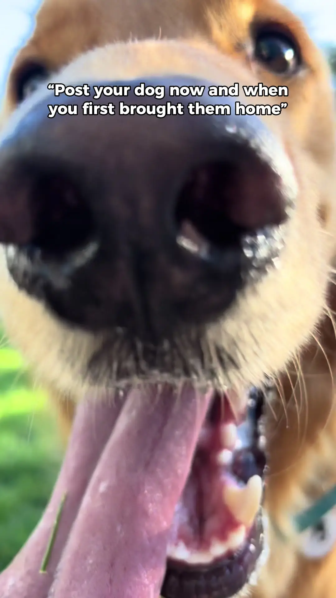 Tiktok post preview 3 from @lifeof.lex