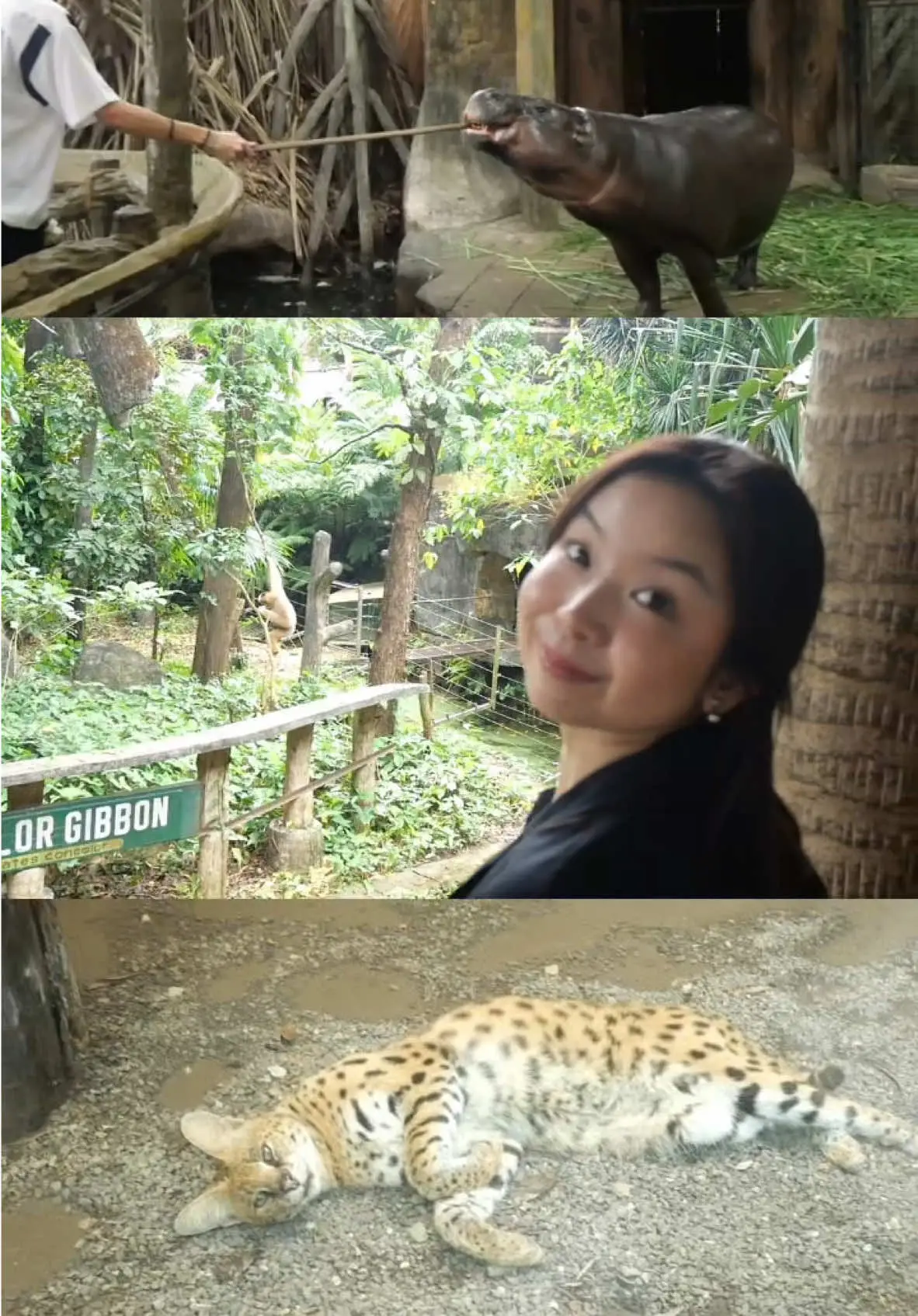 Tiktok post preview 3 from @ishi.kiwi