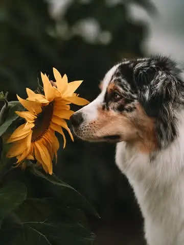 Instagram post thumbnail