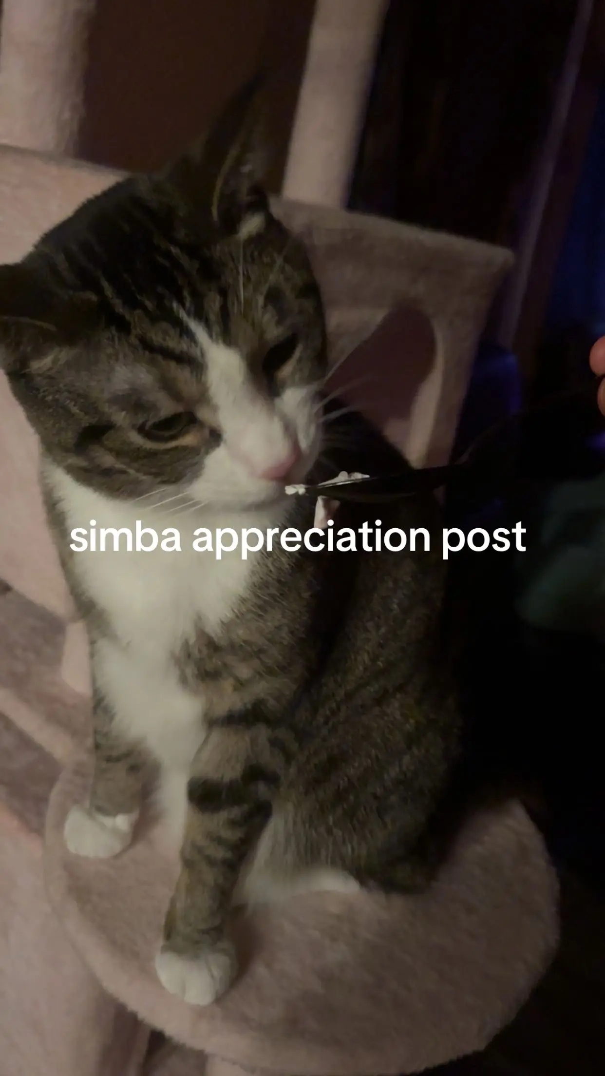 Tiktok post thumbnail
