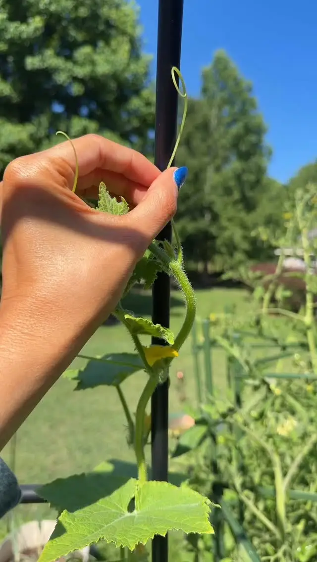 Instagram post thumbnail