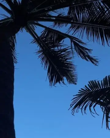Instagram post thumbnail