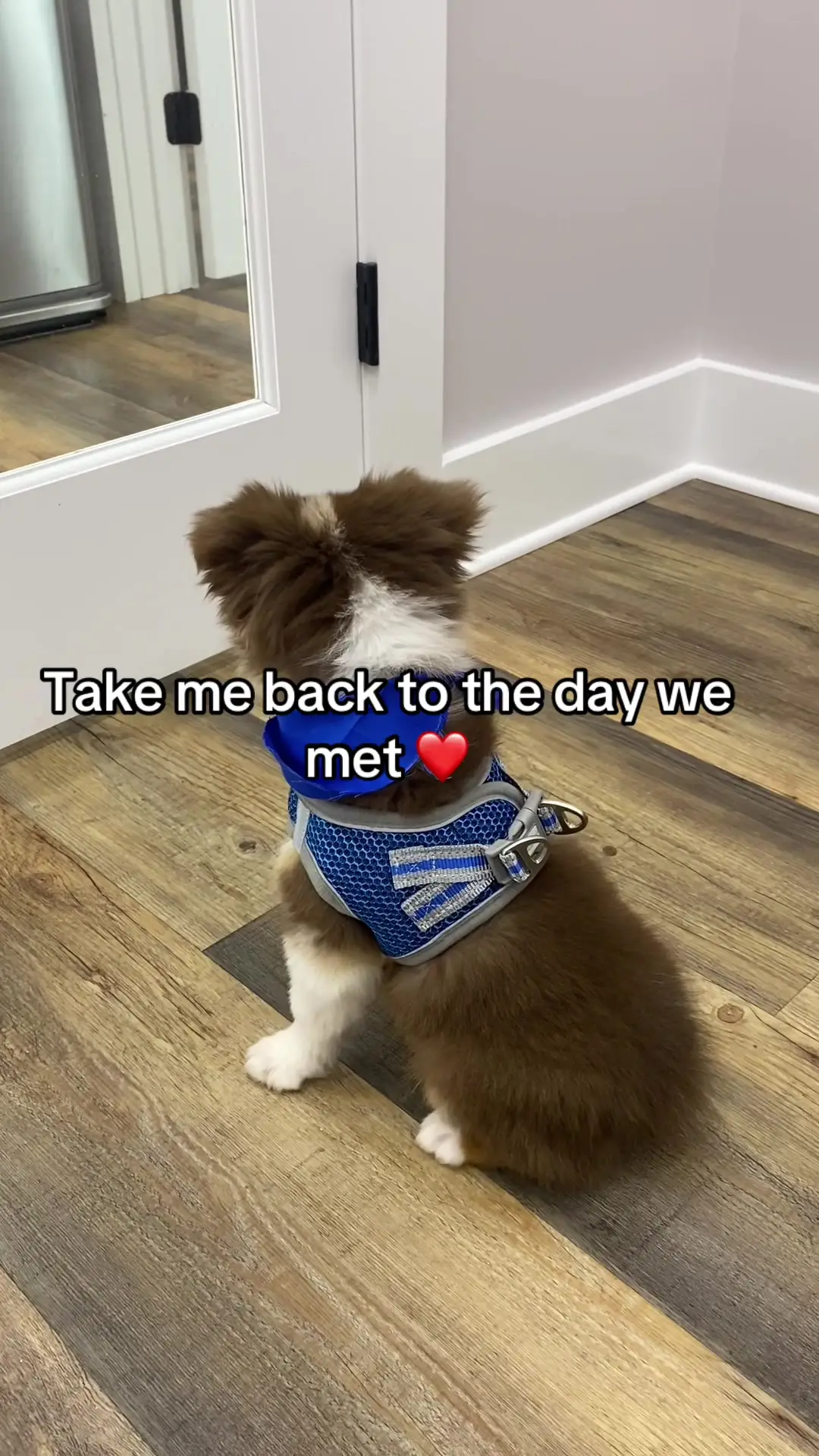 Tiktok post thumbnail