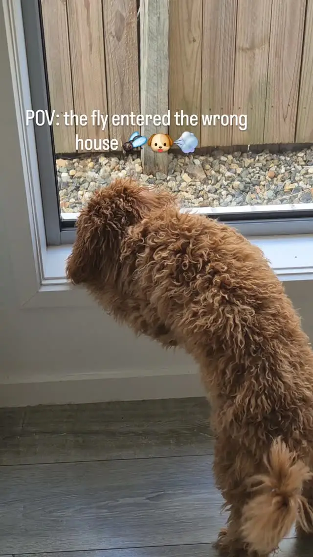 Instagram post thumbnail