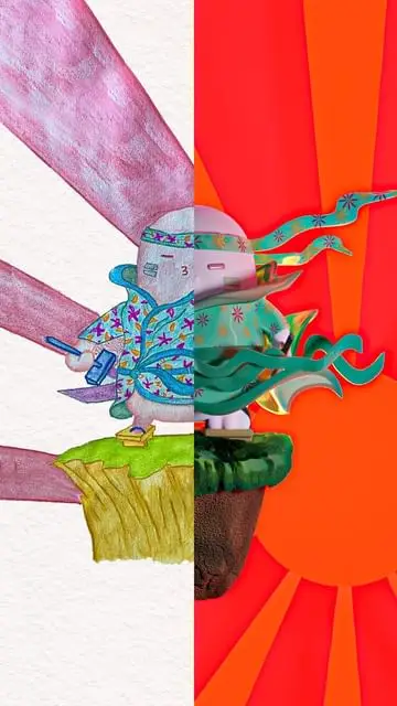 Instagram post thumbnail
