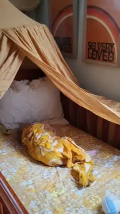 Instagram post thumbnail