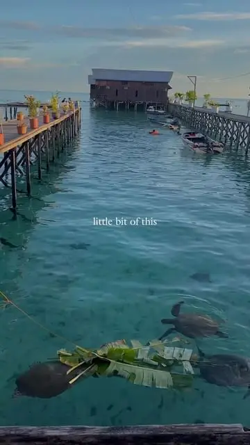 Instagram post thumbnail