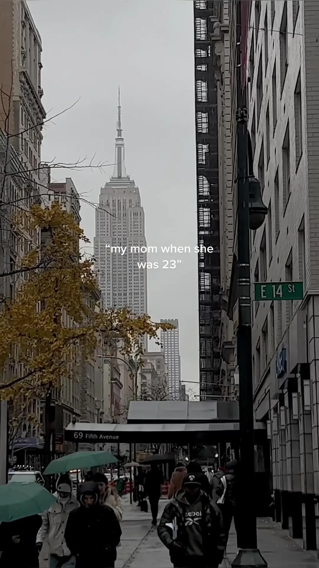 Tiktok post preview 2 from @literarilychic