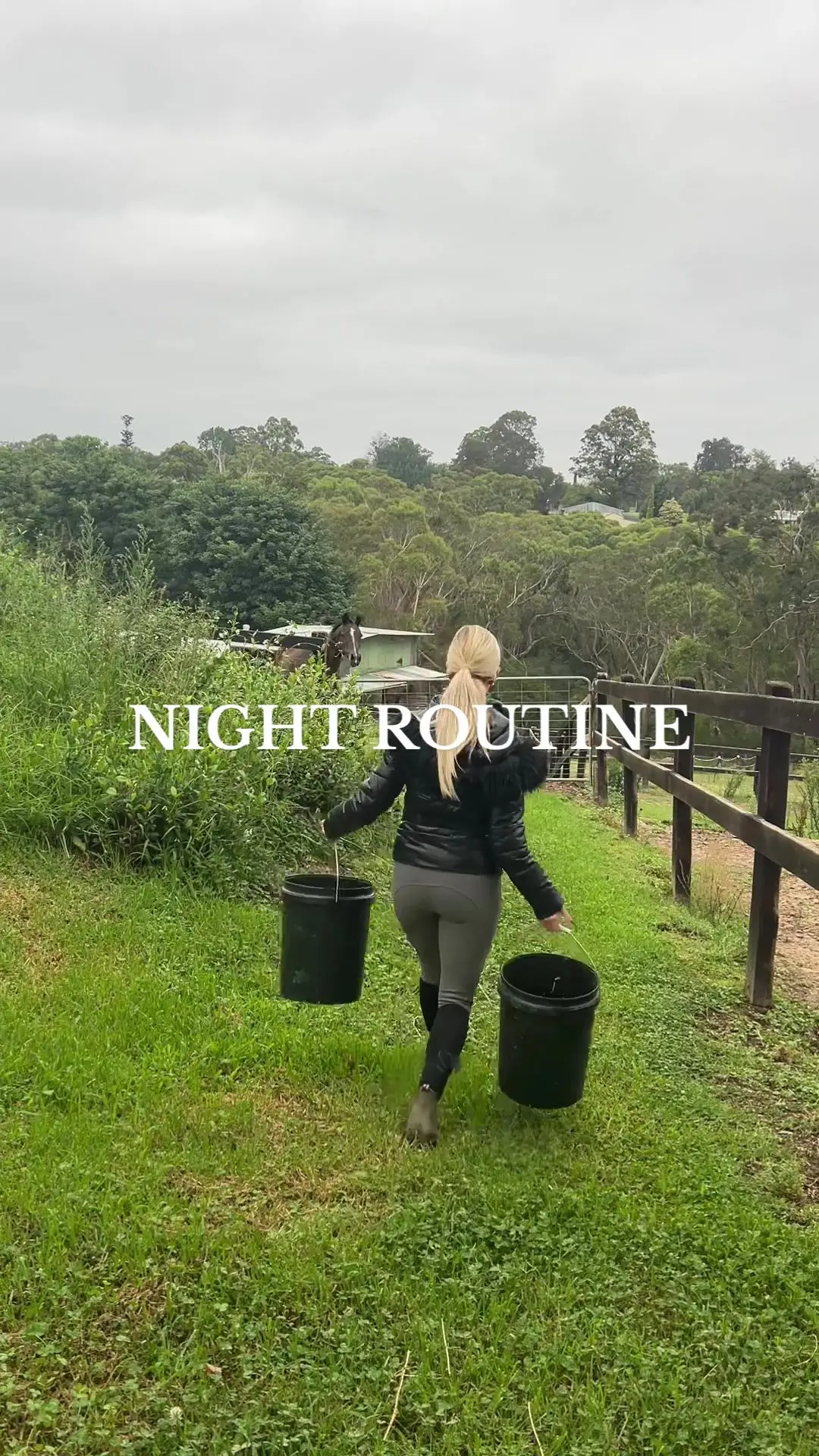 Tiktok post preview 1 from @char.bruce