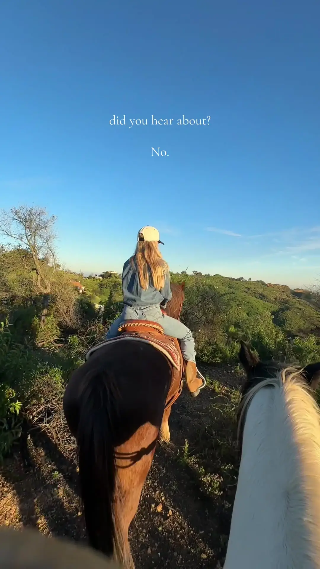Tiktok post preview 3 from @amanndaclaiire