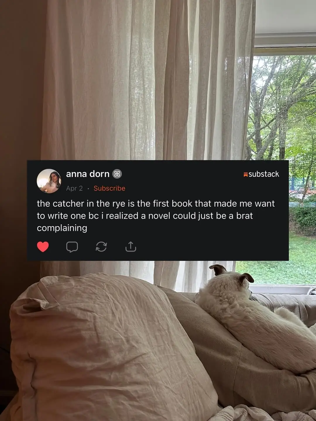 Instagram post thumbnail