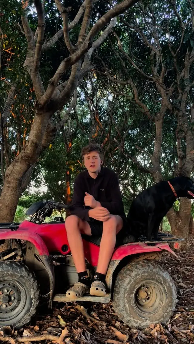 Instagram post thumbnail