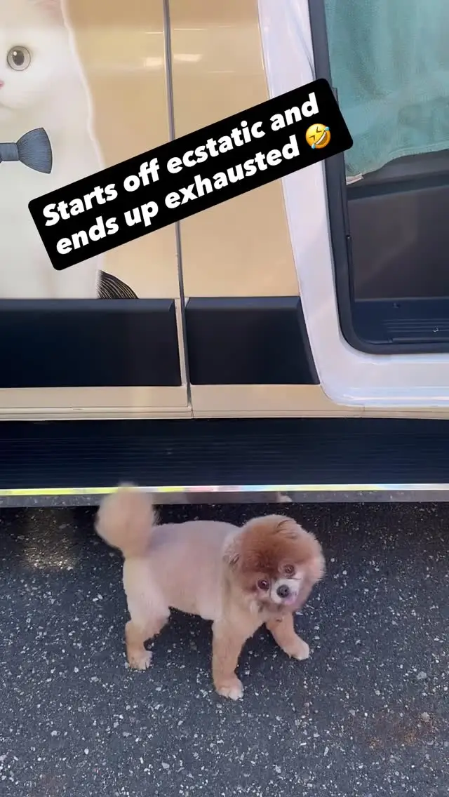 Instagram post thumbnail