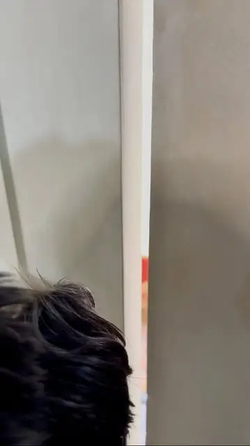 Instagram post preview 2 from claudetheportie