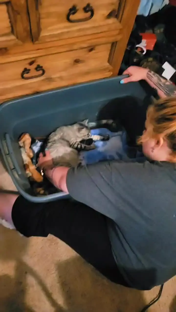 Tiktok post thumbnail