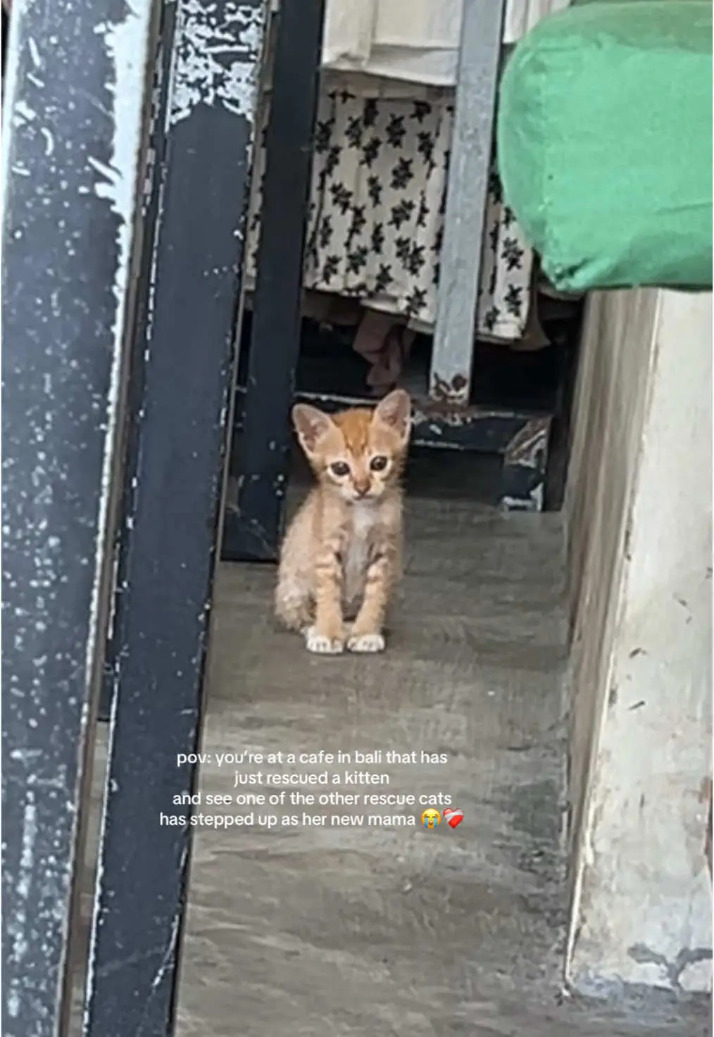Tiktok post preview 2 from @keirabuckley_