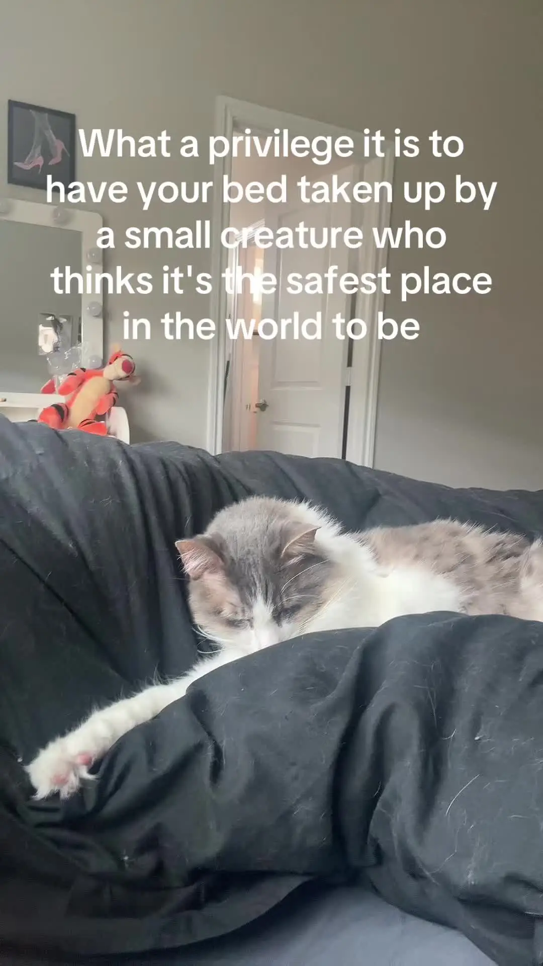 Tiktok post thumbnail