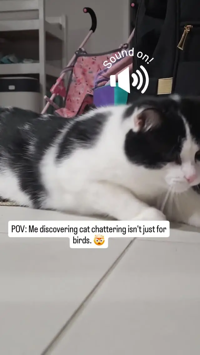 Instagram post thumbnail