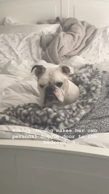 Instagram post thumbnail