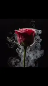 Instagram post thumbnail